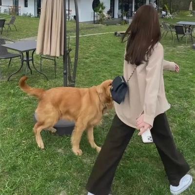 理查德·朱维尔的哀歌