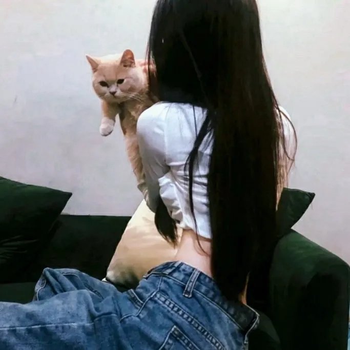 我的完美秘书