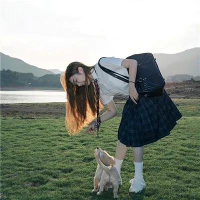 让叶兰在空中飞舞